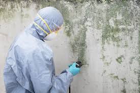 Best Attic Mold Removal  in Brookfield, MO